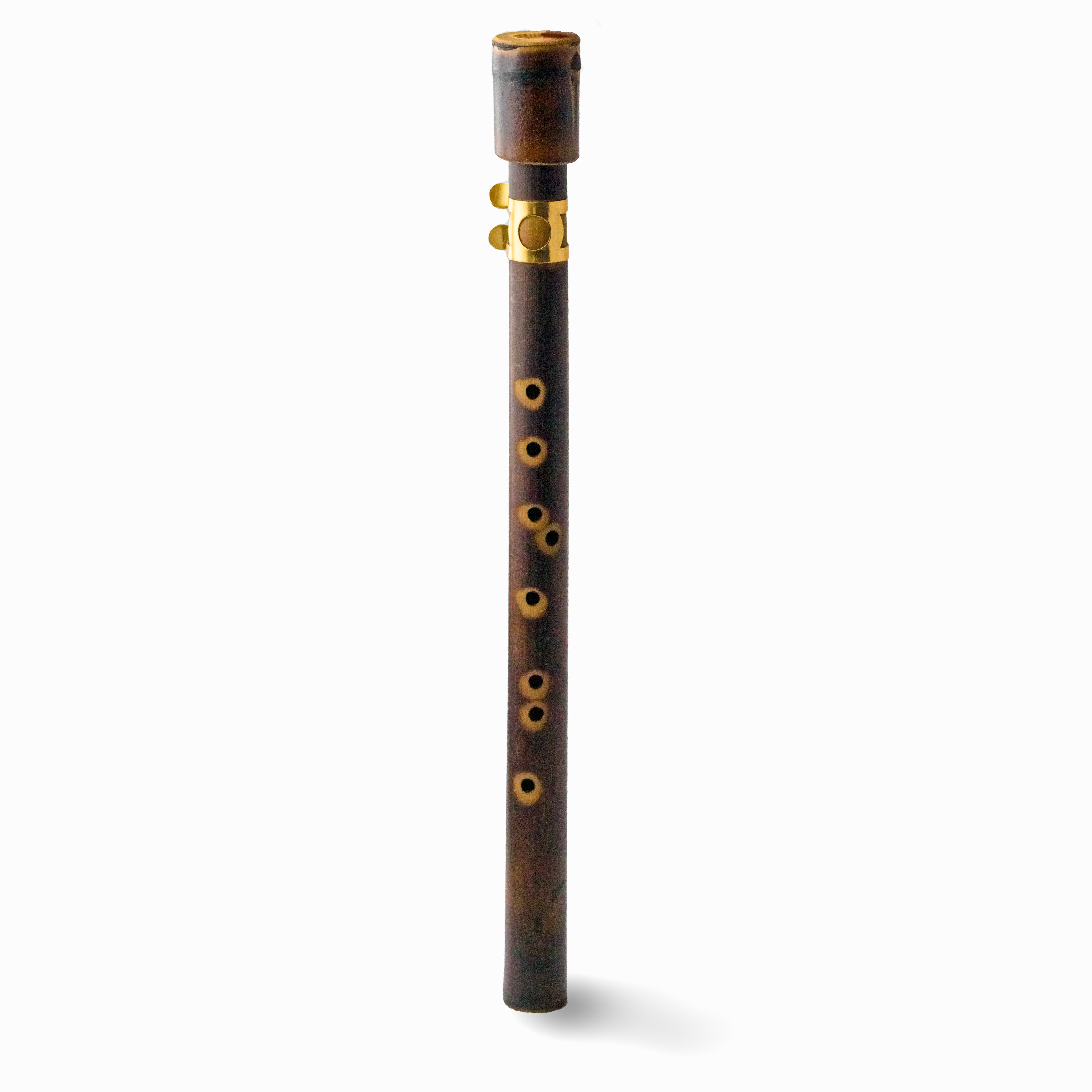 Small Sax Mini-Sax in C – Chameleon-Instruments