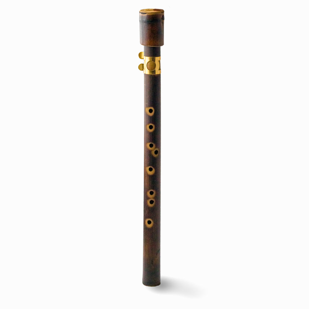 Bamboo-Sax and Guitars - Chameleon Instruments – Chameleon-Instruments